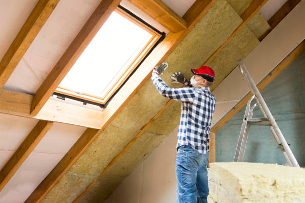 Professional Insulation Services in Rockwell Place, TX